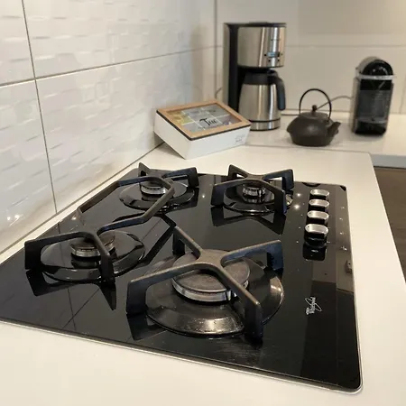 Apartment La Bonneterie Grand Part Dieu De Charme Pour 8 Personnes