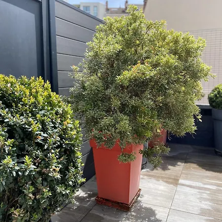 La Bonneterie Grand Part Dieu De Charme Pour 8 Personnes Apartment Lyon